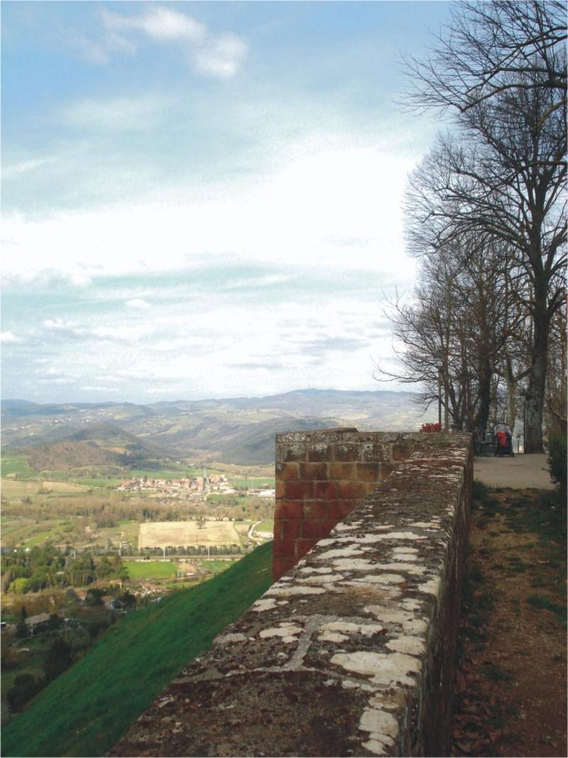 Porta Vivaria Orvieto- Private Parking Zewnętrze zdjęcie